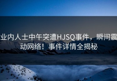 业内人士中午突遭HJSQ事件，瞬间震动网络！事件详情全揭秘