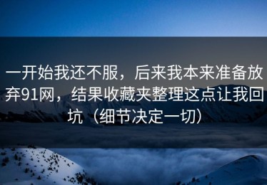 一开始我还不服，后来我本来准备放弃91网，结果收藏夹整理这点让我回坑（细节决定一切）
