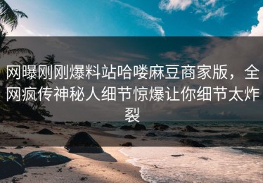 网曝刚刚爆料站哈喽麻豆商家版，全网疯传神秘人细节惊爆让你细节太炸裂
