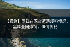 【紧急】网红在深夜遭遇爆料愤怒，黑料全网炸锅，详情揭秘