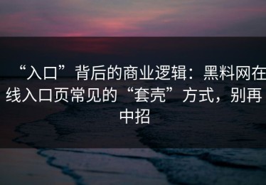“入口”背后的商业逻辑：黑料网在线入口页常见的“套壳”方式，别再中招