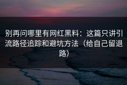 别再问哪里有网红黑料：这篇只讲引流路径追踪和避坑方法（给自己留退路）