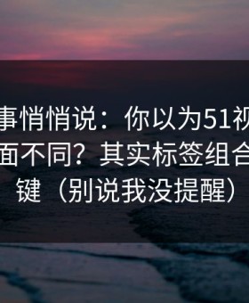 运营同事悄悄说：你以为51视频网站只是界面不同？其实标签组合才是关键（别说我没提醒）