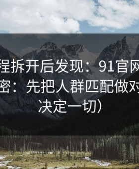 我把流程拆开后发现：91官网越用越顺的秘密：先把人群匹配做对（细节决定一切）
