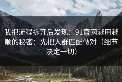 我把流程拆开后发现：91官网越用越顺的秘密：先把人群匹配做对（细节决定一切）
