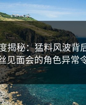 91网深度揭秘：猛料风波背后，神秘人在粉丝见面会的角色异常令人意外