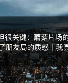 没人讲但很关键：蘑菇片场的BGM挑选决定了朋友局的质感｜我真的服了