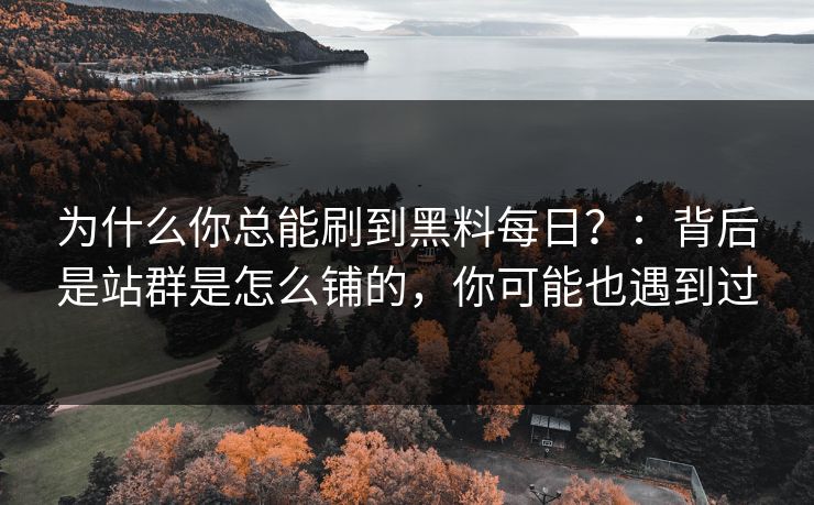 为什么你总能刷到黑料每日?:背后是站群是怎么铺的,你可能也遇到过 为什么你总能刷到黑料每日?:背后是站群是怎么铺的,你可能也遇到过